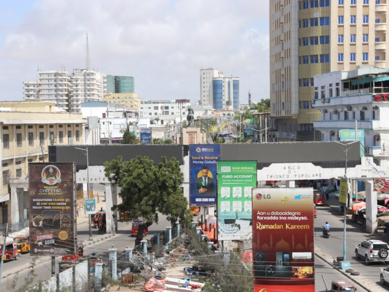 Somali Intelligence Assists US in Arresting Alleged Minnesota Fraud ...