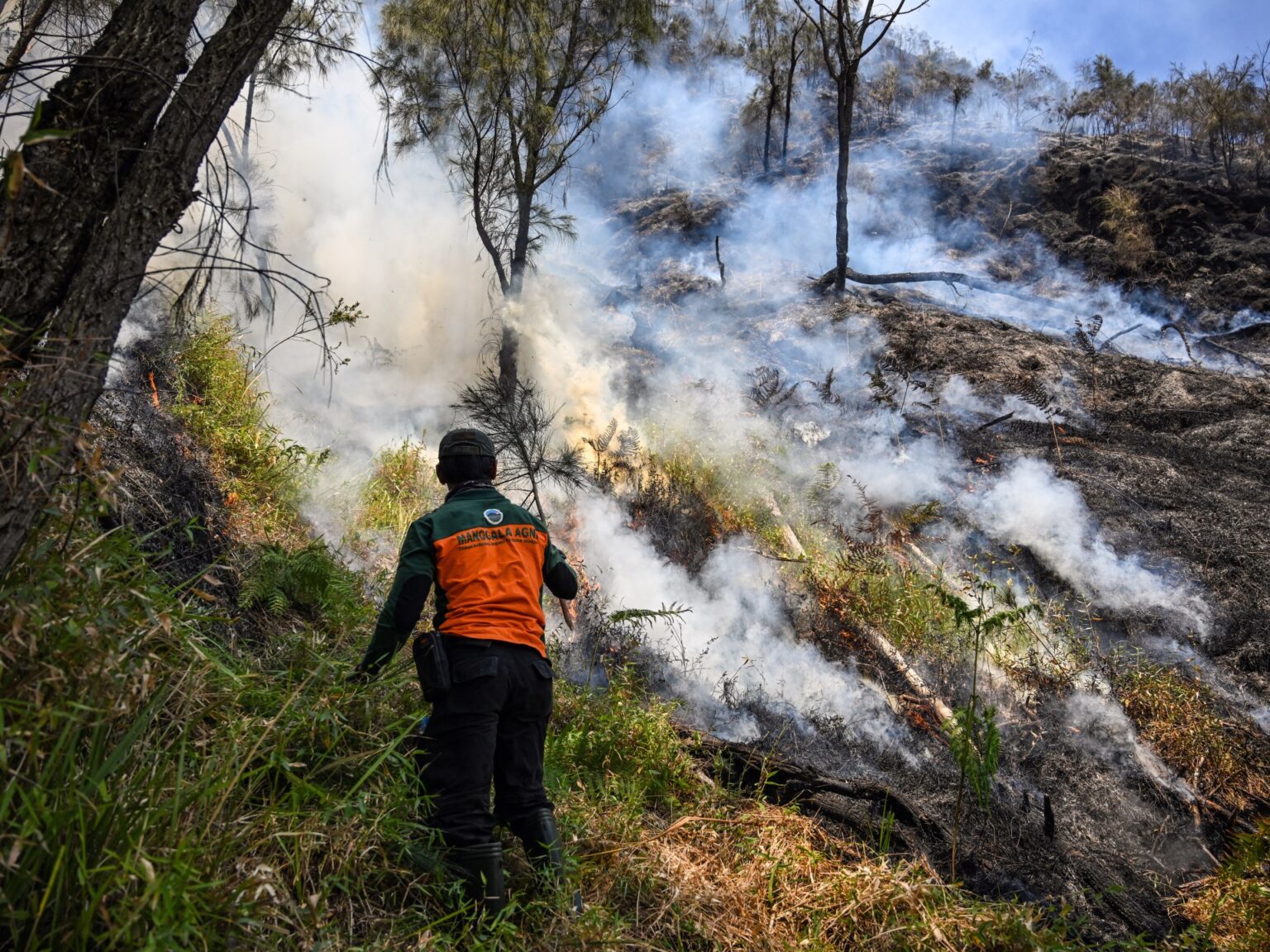 Indonesia Closes East Java National Park Amid Expanding Wildfire Near ...