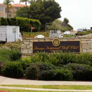 download (5)