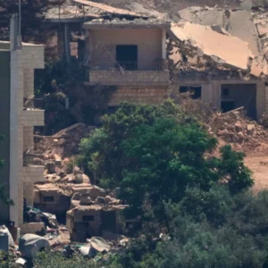 download (7)